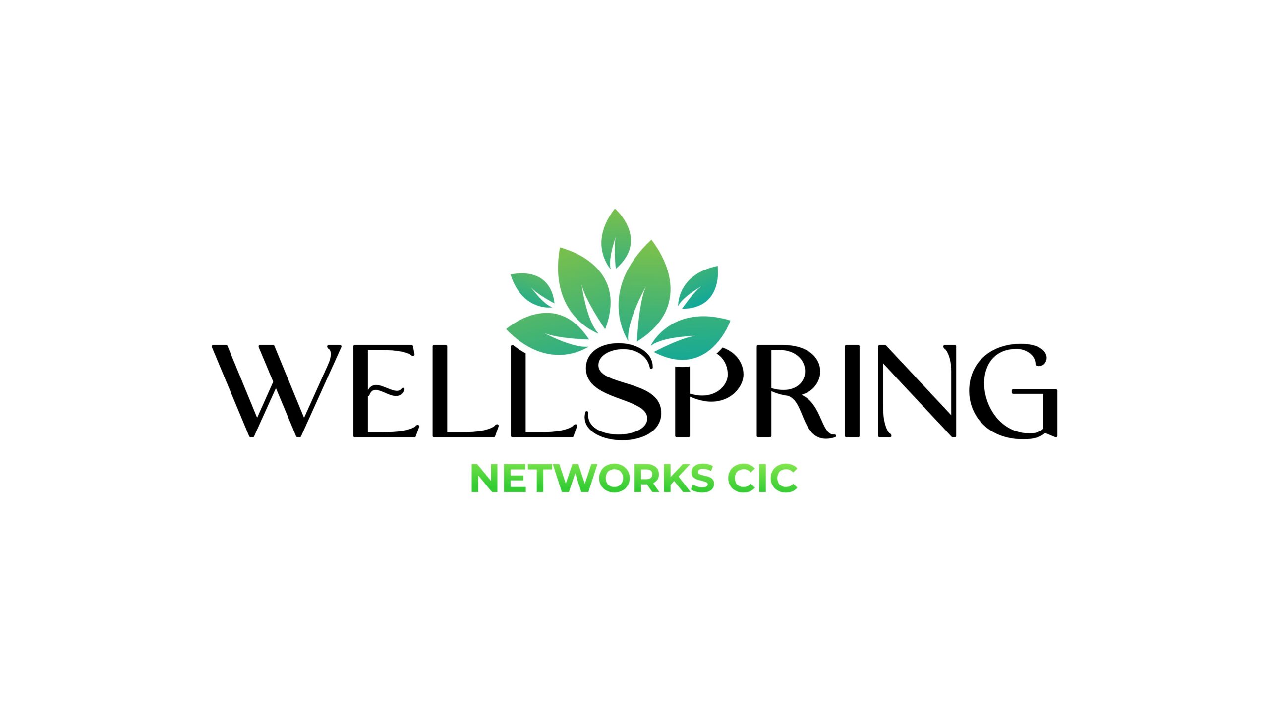 Well Spring Networks